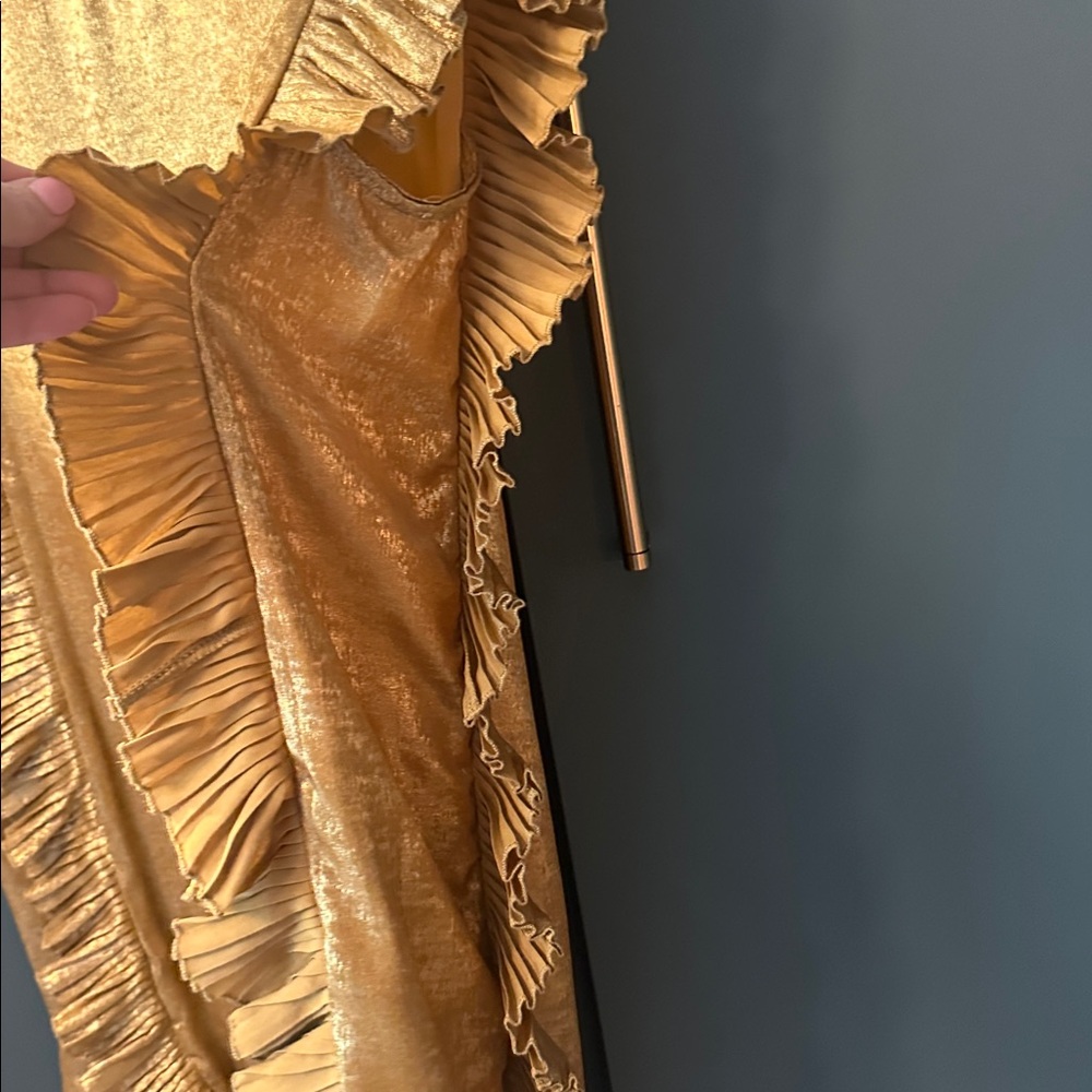Gold Ruffled Dress - Picture 4 of 4